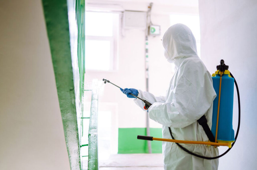 dezynfekcja bielsko biała