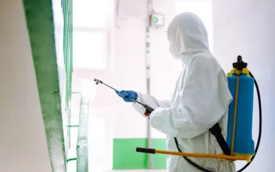 Dezynfekcja – skuteczna ochrona przed drobnoustrojami