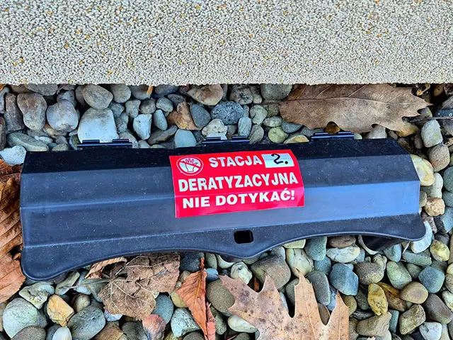 Deratyzacja, odszczurzanie